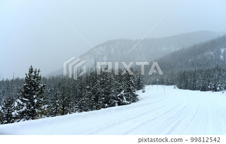 Yellowstone Winter Snow Yellowstone Winter Snow 99812542