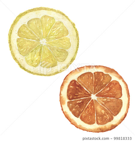 Watercolor orange and lemon set. Hand painted citrus food illustration isolated on white background. Botanical illustration for design Watercolor orange and lemon set. Hand painted citrus food illustration isolated on white background. Botanical illustration for design 99818333