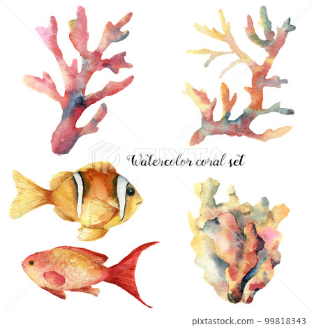 Watercolor set with coral and fish. Hand painted underwater branches and reef fish isolated on white background. Tropical sea life illustration. For design, print or background. 99818343