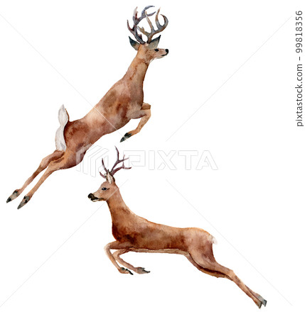 Watercolor running deers set isolated on white background. Chris Watercolor running deers set isolated on white background. Chris 99818356