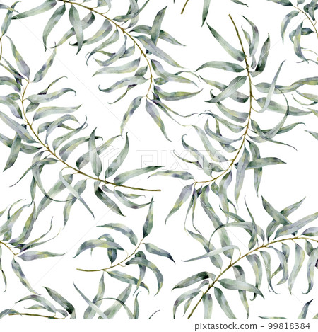 Watercolor pattern with eucalyptus. Hand painted ornament with branches with leaves isolated on white background. Natural print for design, fabric. Watercolor pattern with eucalyptus. Hand painted ornament with branches with leaves isolated on white background. Natural print for design, fabric. 99818384