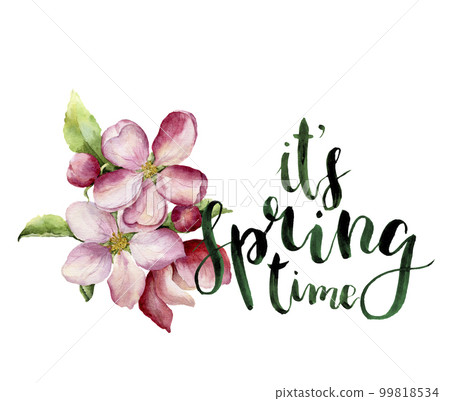 Watercolor apple blossom and It's spring time lettering. Hand painted floral botanical illustration isolated on white background. Pink flower for design, print or fabric. 99818534