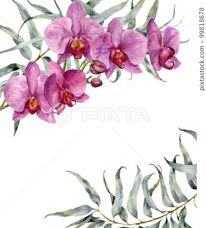 Watercolor floral card with orchids and eucalyptus leaves. Hand painted floral botanical illustration isolated on white background. For design or print. 99818678