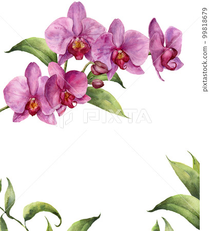 Watercolor floral card with orchids and leaves. Hand painted floral botanical illustration isolated on white background. For design or print. 99818679