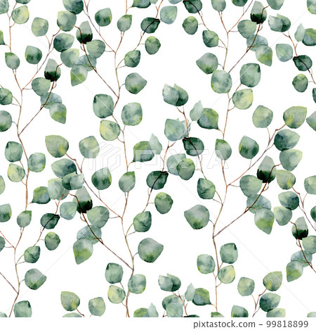 Watercolor green floral seamless pattern with eucalyptus round leaves. Hand painted pattern with branches and leaves of silver dollar eucalyptus isolated on white background. For design or background 99818899