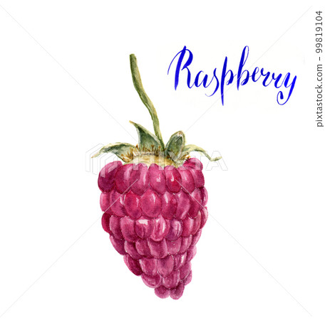 Watercolor raspberry with lettering Raspberry. Hand drawn arti 99819104