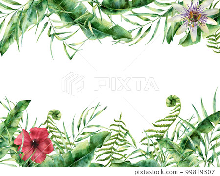 Watercolor tropical floral card. Hand painted summer frame with 99819307