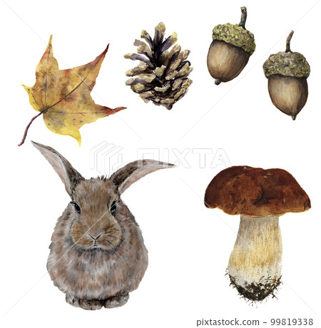 Watercolor autumn forest set. Hand painted pine cone, acorn, hare, mushroom and yellow leave isolated on white background. Botanical illustration for design 99819338