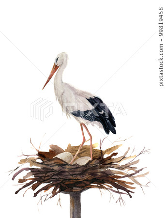 Watercolor white stork in the nest hatching eggs. Ciconia bird illustration isolated on white background. For design, prints or background Watercolor white stork in the nest hatching eggs. Ciconia bird illustration isolated on white background. For design, prints or background 99819458