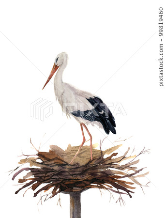 Watercolor white stork in the nest. Hand painted ciconia bird illustration isolated on white background. For design, prints or background Watercolor white stork in the nest. Hand painted ciconia bird illustration isolated on white background. For design, prints or background 99819460