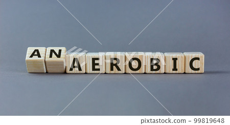 Turned a cube and changed the expression 'aerobic' to 'anaerobic', or vice versa. Beautiful grey background. Business concept. Copy space. Turned a cube and changed the expression 'aerobic' to 'anaerobic', or vice versa. Beautiful grey background. Business concept. Copy space. 99819648