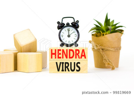 Hendra virus symbol. Concept words Hendra virus on wooden block. Beautiful white table white background. Black alarm clock. Green house plant. Medical hendra virus concept. Copy space. Hendra virus symbol. Concept words Hendra virus on wooden block. Beautiful white table white background. Black alarm clock. Green house plant. Medical hendra virus concept. Copy space. 99819669