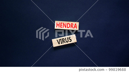 Hendra virus symbol. Concept words Hendra virus on wooden block. Beautiful black table black background. Medical hendra virus concept. Copy space. 99819688