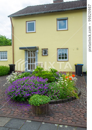 `Amazing flowering  nex  to suburbs of Cologne ( North Rhine Westphalia)  and small   typical buildings 99820987