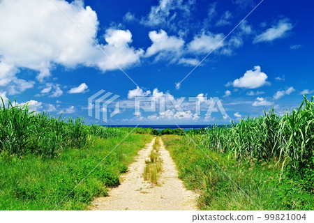 Kohama Island Road, Sky and Clouds, 沖繩縣 99821004
