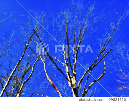 illustration of trees in the woods illustration of trees in the woods 99821810