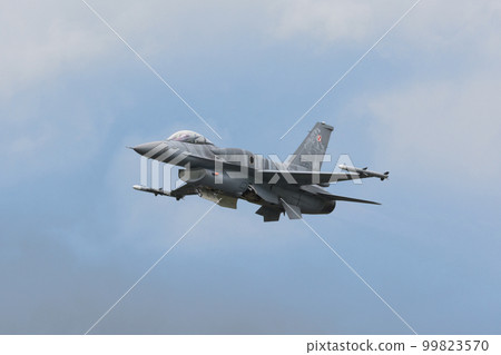 Polish Air Force F-16C Block 52+ "Tiger Demo Team" 99823570