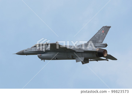 Polish Air Force F-16C Block 52+ "Tiger Demo Team" 99823573