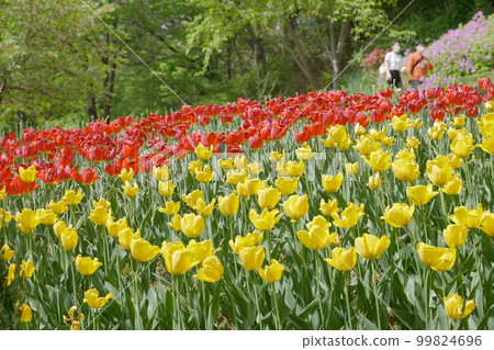 你有沒有 春天 紅 99824696