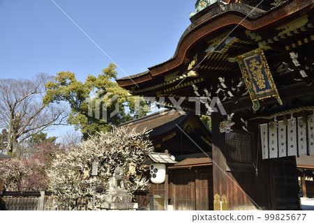Sankomon Gate and Ume Kitano Tenmangu Shrine Sankomon Gate and Ume Kitano Tenmangu Shrine 99825677