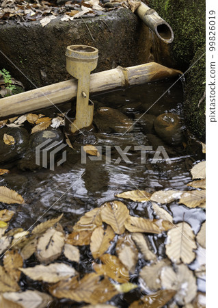 Floating fallen leaves and deer threat Floating fallen leaves and deer threat 99826019