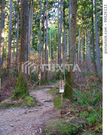大岩神社 99826133