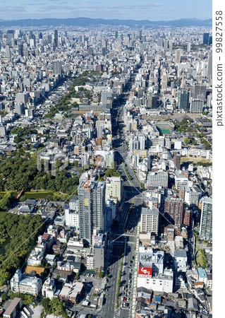 從大阪府阿倍野Harukas眺望（天王寺公園方向） 99827558