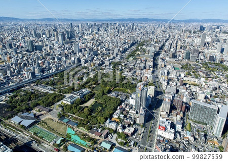 從大阪府阿倍野Harukas眺望（天王寺公園方向） 99827559