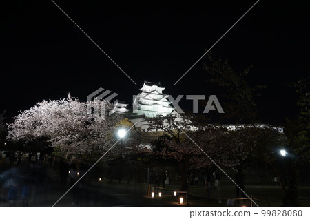 世界遺產姬路城和美麗的夜櫻花,日本兵庫縣姬路市 世界遺產姬路城和美麗的夜櫻花,日本兵庫縣姬路市 99828080