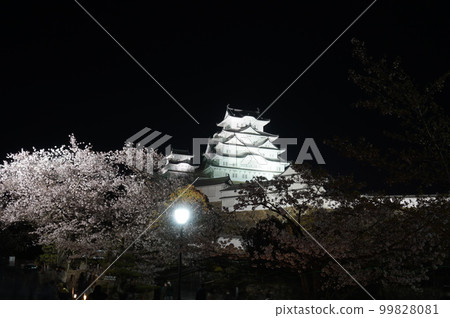 世界遺產姬路城和美麗的夜櫻花,日本兵庫縣姬路市 世界遺產姬路城和美麗的夜櫻花,日本兵庫縣姬路市 99828081