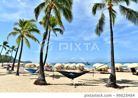 夏威夷的假期 夏威夷的假期 99828484