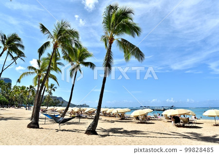 Holidays in Hawaii Holidays in Hawaii 99828485