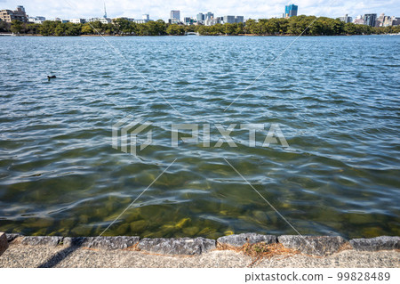 晴朗的冬天天氣的大濠公園 晴朗的冬天天氣的大濠公園 99828489