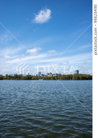 晴朗的冬天天氣的大濠公園 99828490