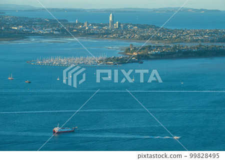 Scenery view of the North Shore and Shoal Bay view from the top of Auckland Sky tower, New Zealand. 99828495