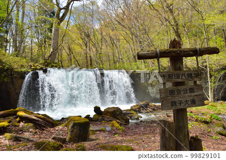 Aomori Blue sky and fresh green Oirase stream Choshi Otaki 99829101