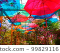 Colorful umbrellas in a greenhouse 99829116