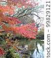 Autumn leaves and pond in Urabandai 99829121