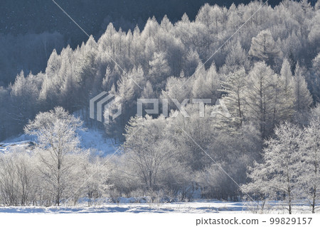 A mountain covered with hoarfrost in the morning sun 99829157