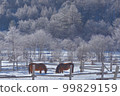 A horse eating breakfast in a frozen world 99829159