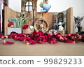 mini chia figurine and roses 99829233