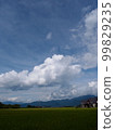 Summer sky and rice field scenery 99829235