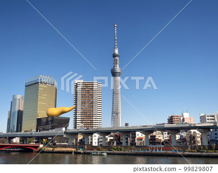 Tokyo Skytree seen from the Sumida River, Tokyo 99829807
