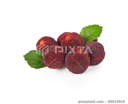 waxberry isolated on white background waxberry isolated on white background 99829920