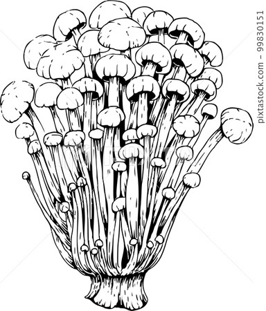 Enoki hand-drawn pen drawing illustration 99830151