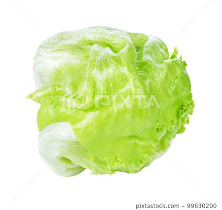 Fresh green lettuce leafs isolated on white background 99830200