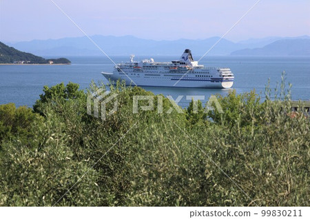 Shodoshima in summer, the Seto Inland Sea, cruises on luxury cruise ships, and fireworks over the sea 99830211