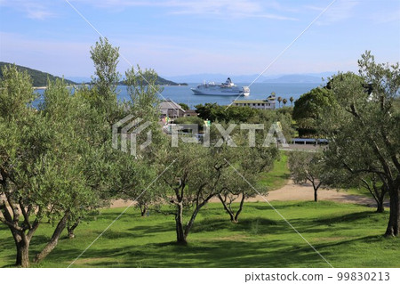 夏季的小豆島、瀨戶內海、豪華遊輪巡遊、海上煙花 99830213