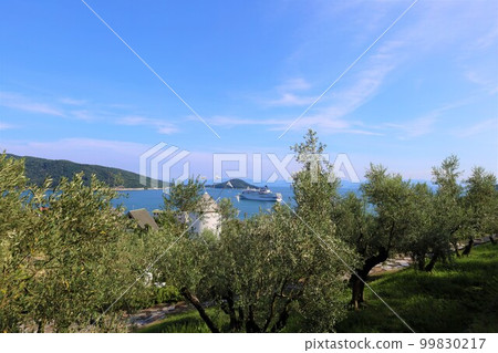 Shodoshima in summer, the Seto Inland Sea, cruises on luxury cruise ships, and fireworks over the sea 99830217