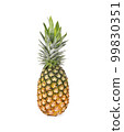 Pineapple isolated on white background 99830351